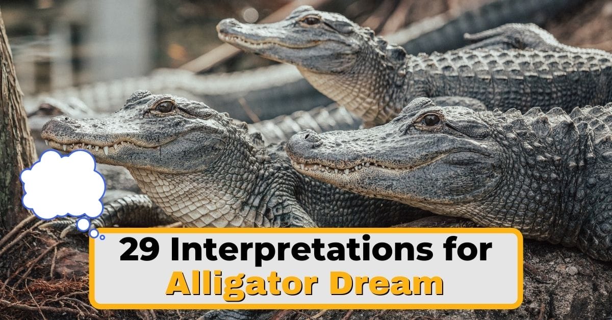 29 Alligator Dream Interpretations & Meanings In 2024
