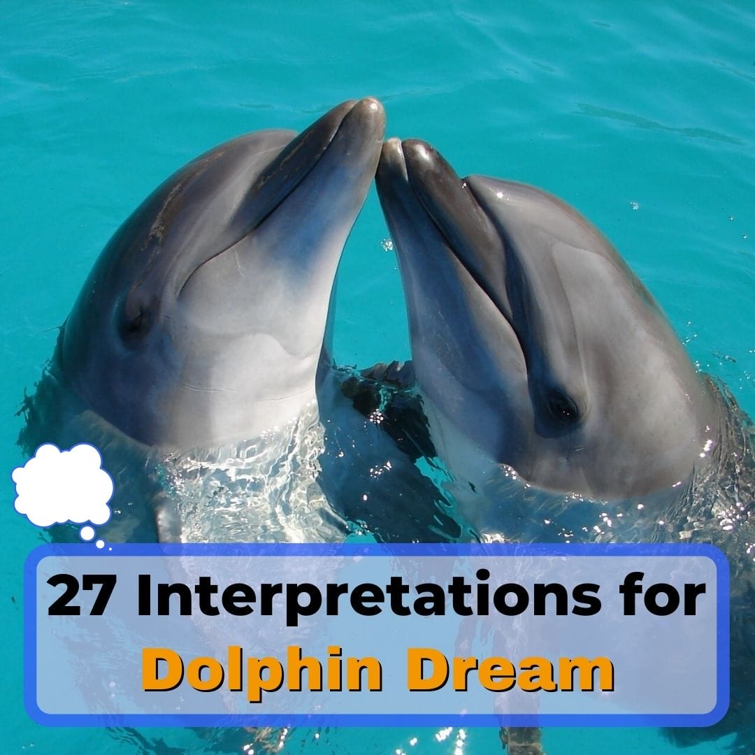 27 Dolphin Dream Interpretations&Meanings In 2024